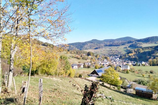 orbey_20181103_133520.jpg